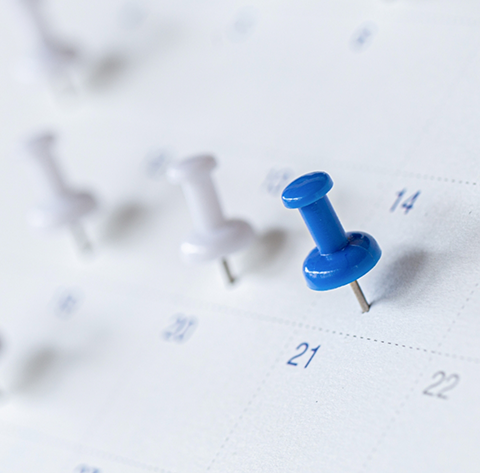 Close up of pushpins on a calendar
